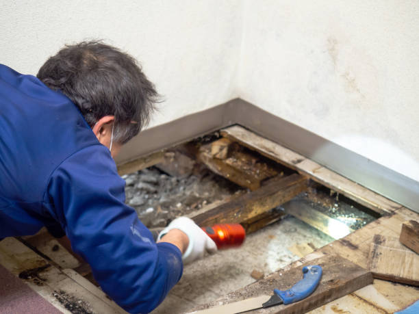 Crawl Space Mold Removal in Palm Springs, CA