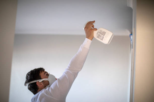 Best Mold Damage Repair  in Palm Springs, CA