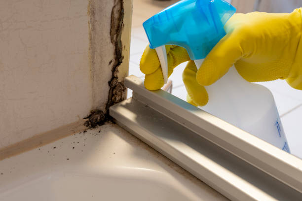 Best Crawl Space Mold Removal  in Palm Springs, CA