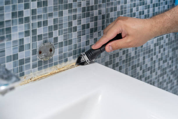 Best Mold Removal Near Me  in Palm Springs, CA
