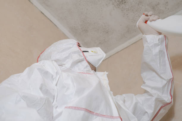 Best Mold Remediation Services  in Palm Springs, CA